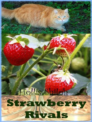 cover image of Strawberry Rivals